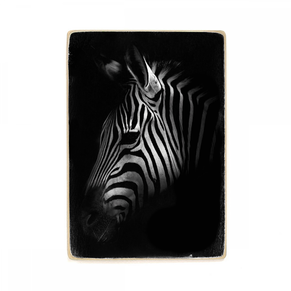 

Деревянный постер Животные Black Zebra А1