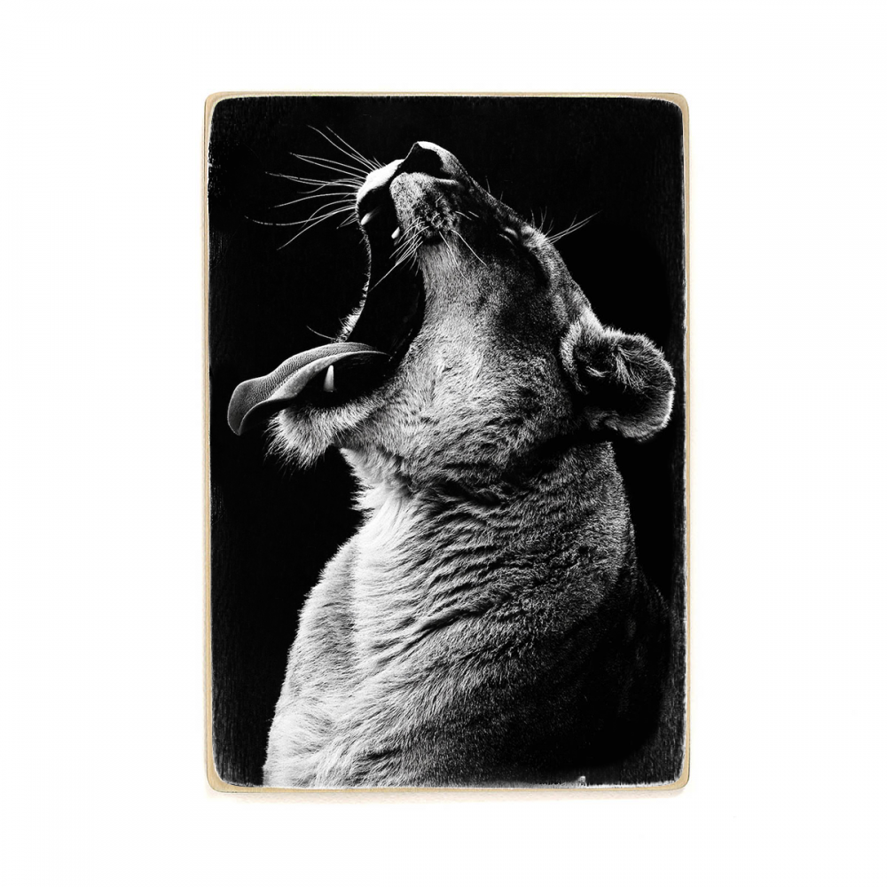 

Деревянный постер Животные Black Lion А2