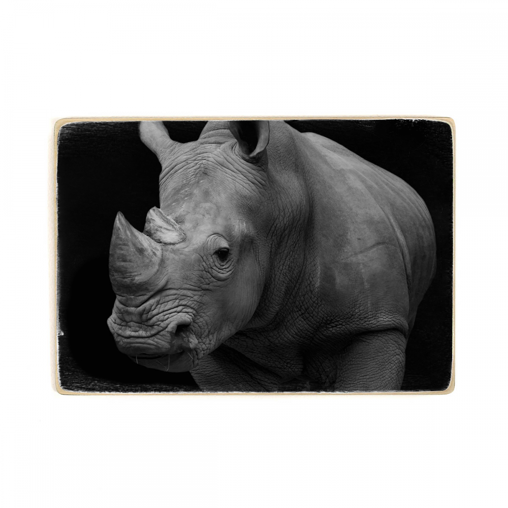 

Деревянный постер Животные Black Rhinoceros А1
