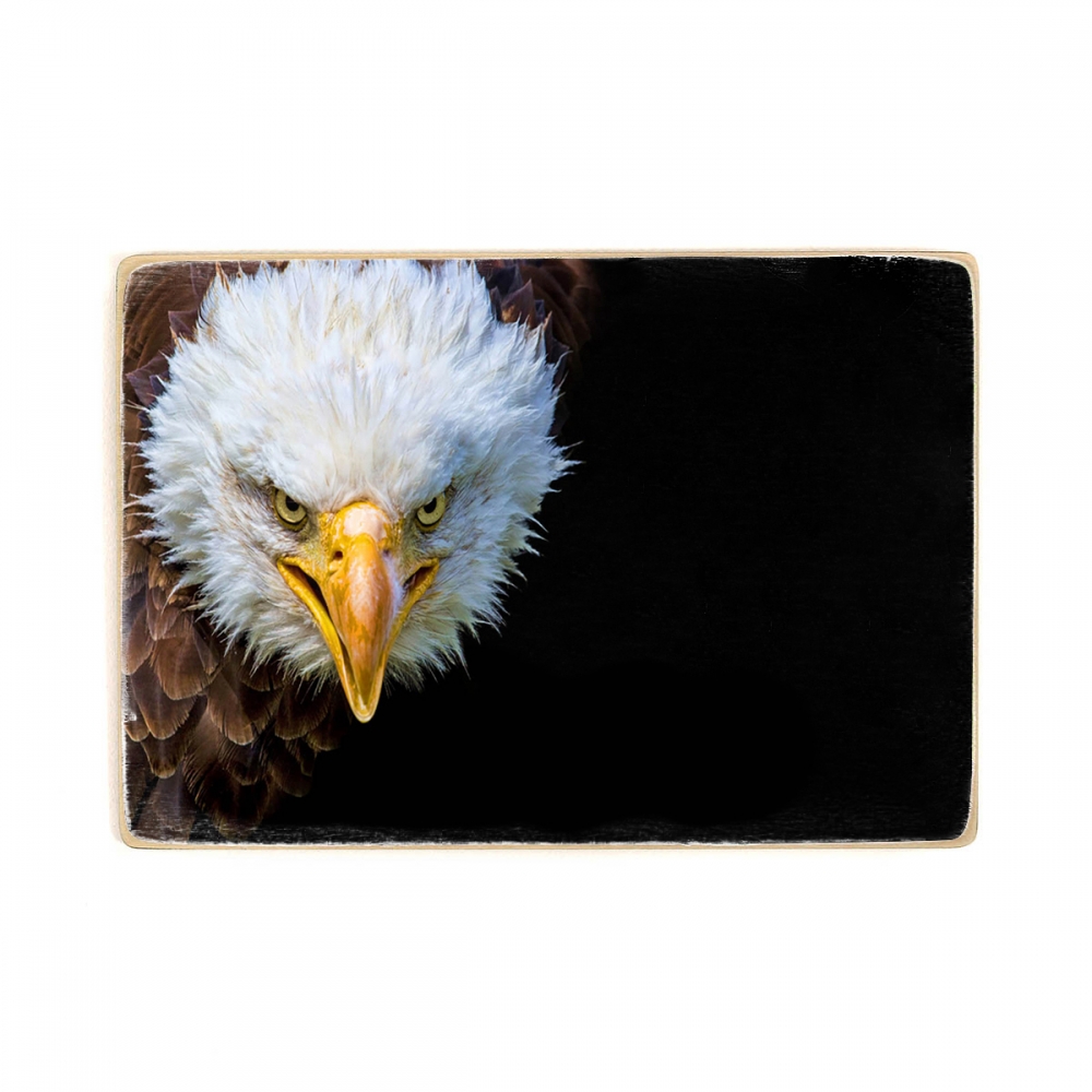 

Деревянный постер Животные Bald Eagle А1