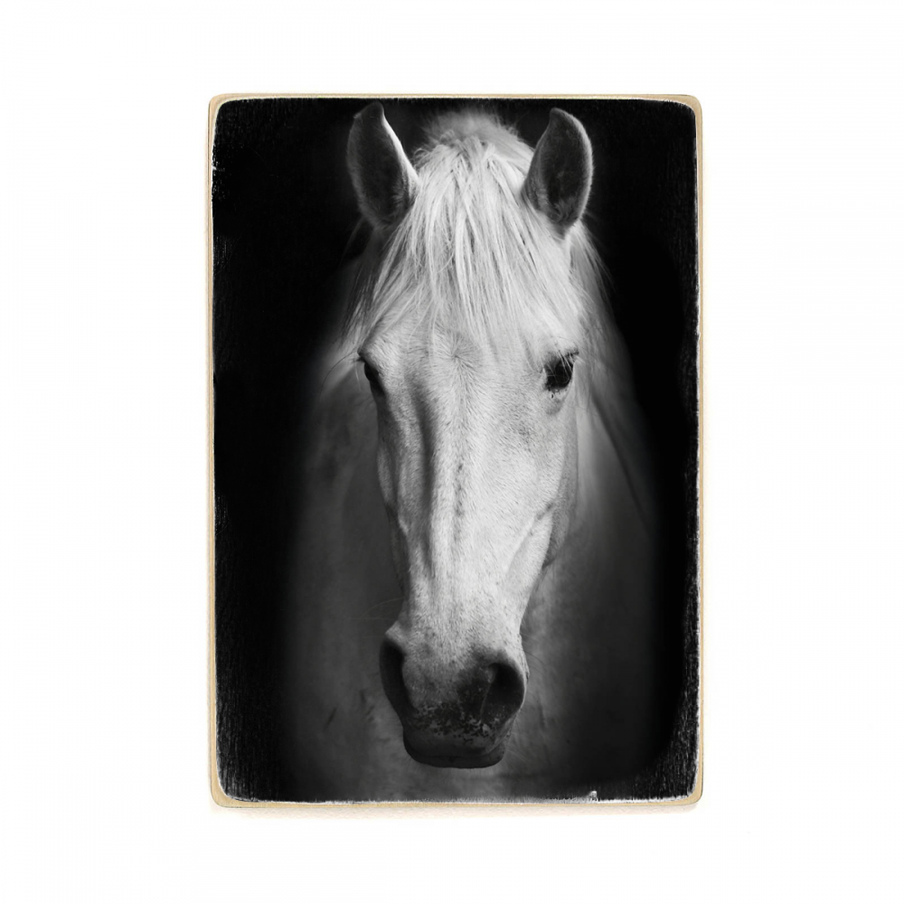 

Деревянный постер Животные White Horse А2