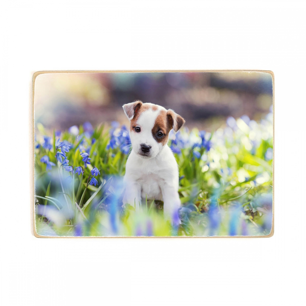 

Деревянный постер Животные Puppy Sitting In Flowers А1