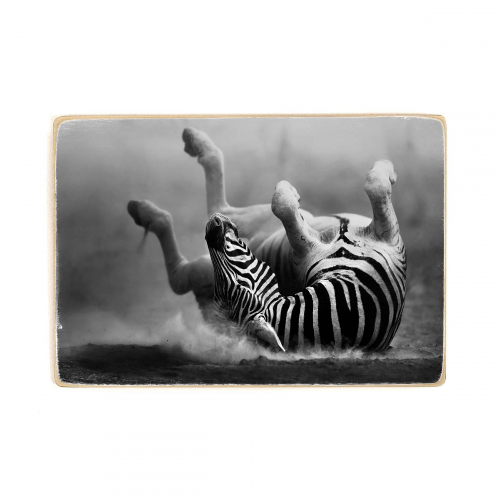 

Деревянный постер Животные Zebra Rides In Fervor А2