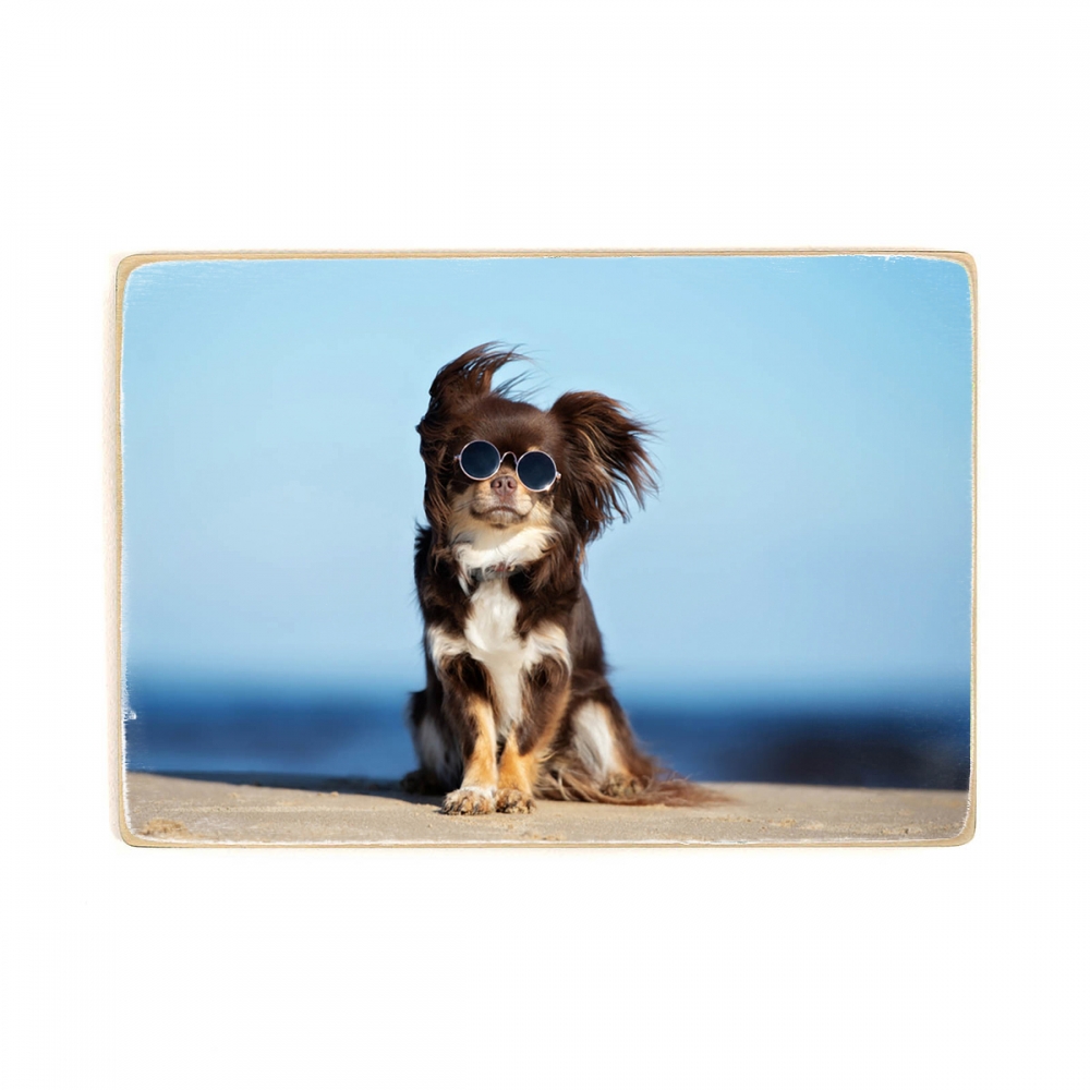 

Деревянный постер Животные Dog Posing With Glasses А1