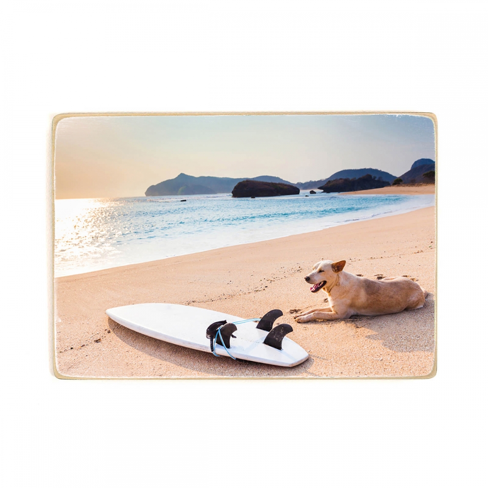 

Деревянный постер Природа Dog Resting Near The Surf А2