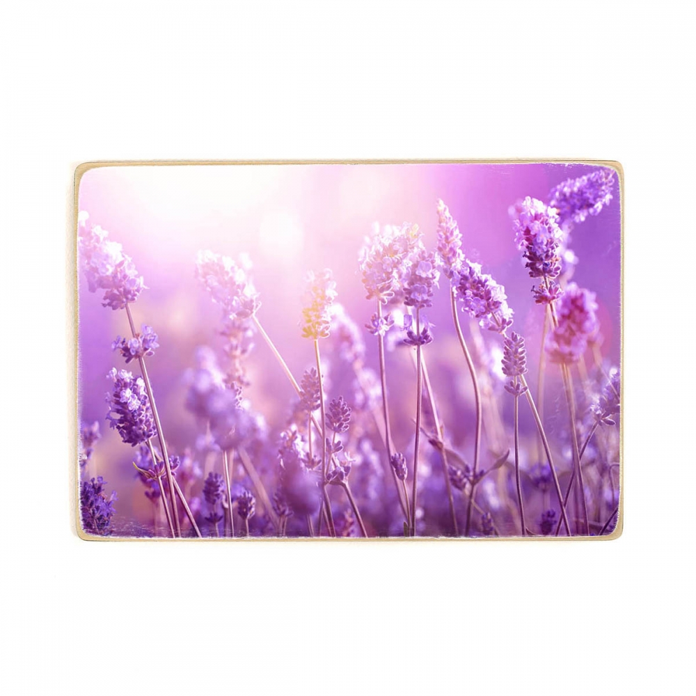 

Деревянный постер Природа Lavender Field А1