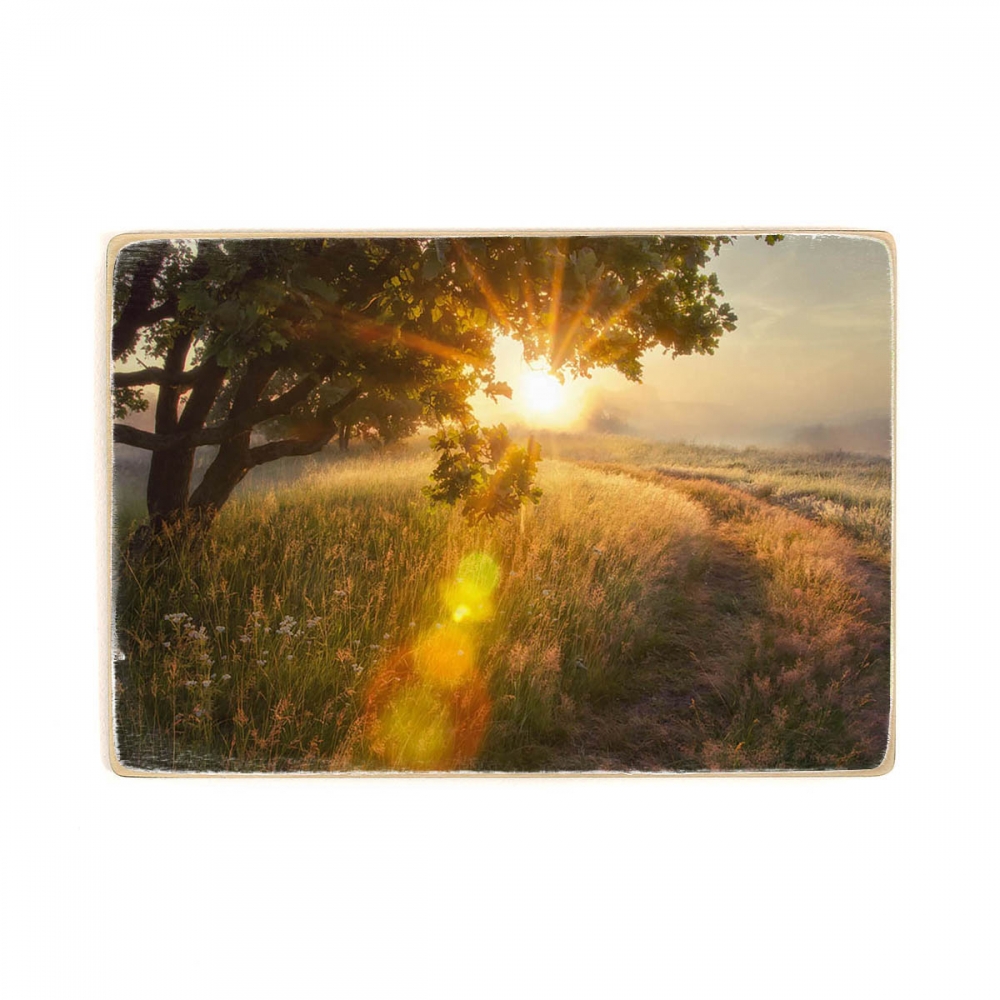 

Деревянный постер Природа Morning Sunrise Landscape А1