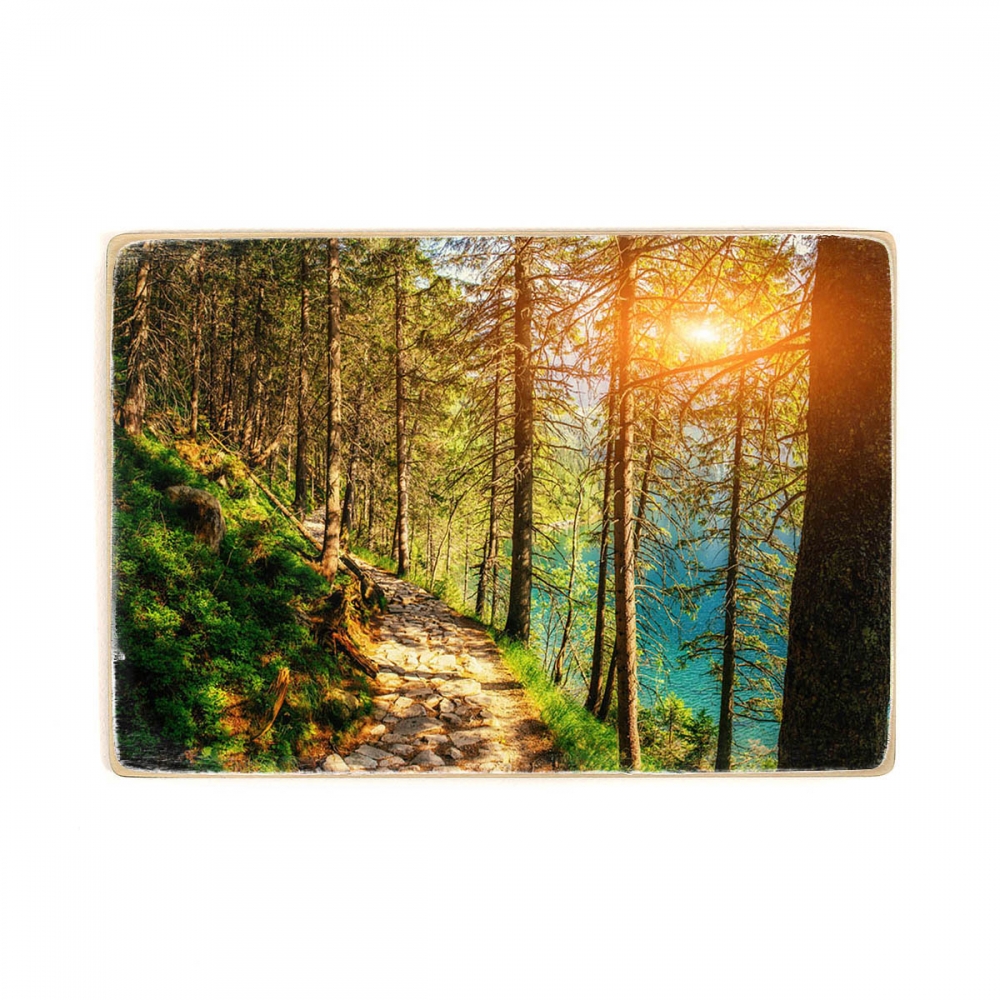 

Деревянный постер Природа Sunset Breaks Between The Trees А2