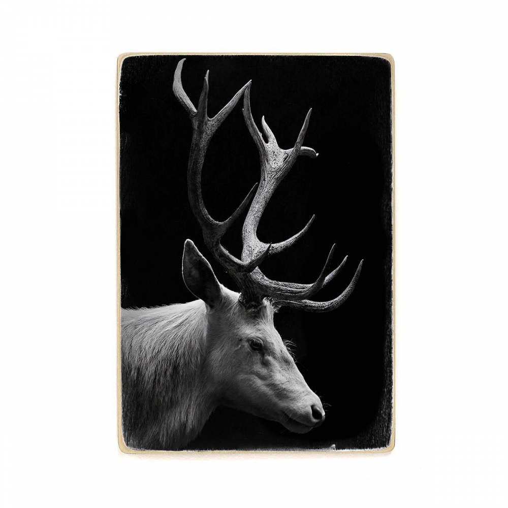 

Деревянный постер Животные Black Deer А2