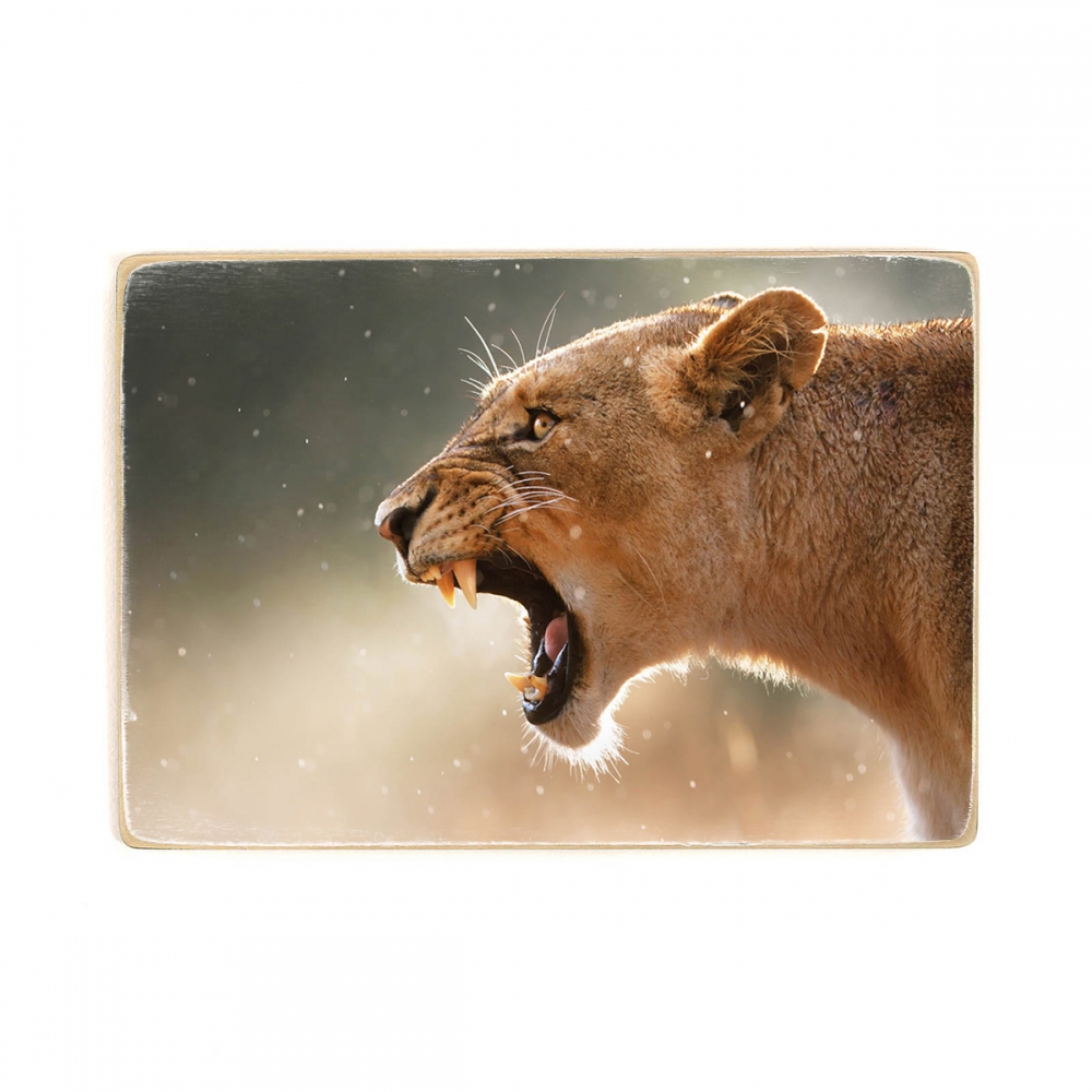 

Деревянный постер Животные Lioness Growls А1