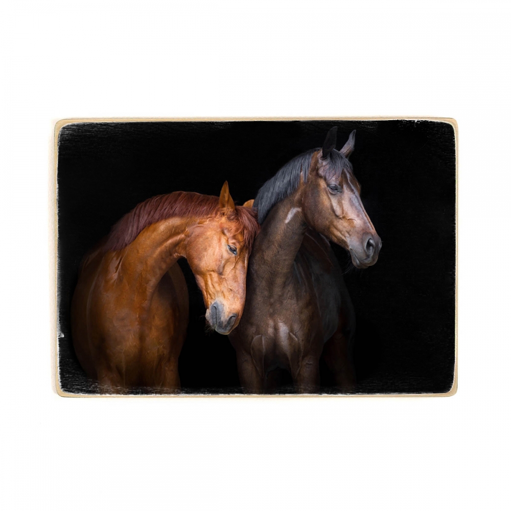 

Деревянный постер Животные Horse Love А2