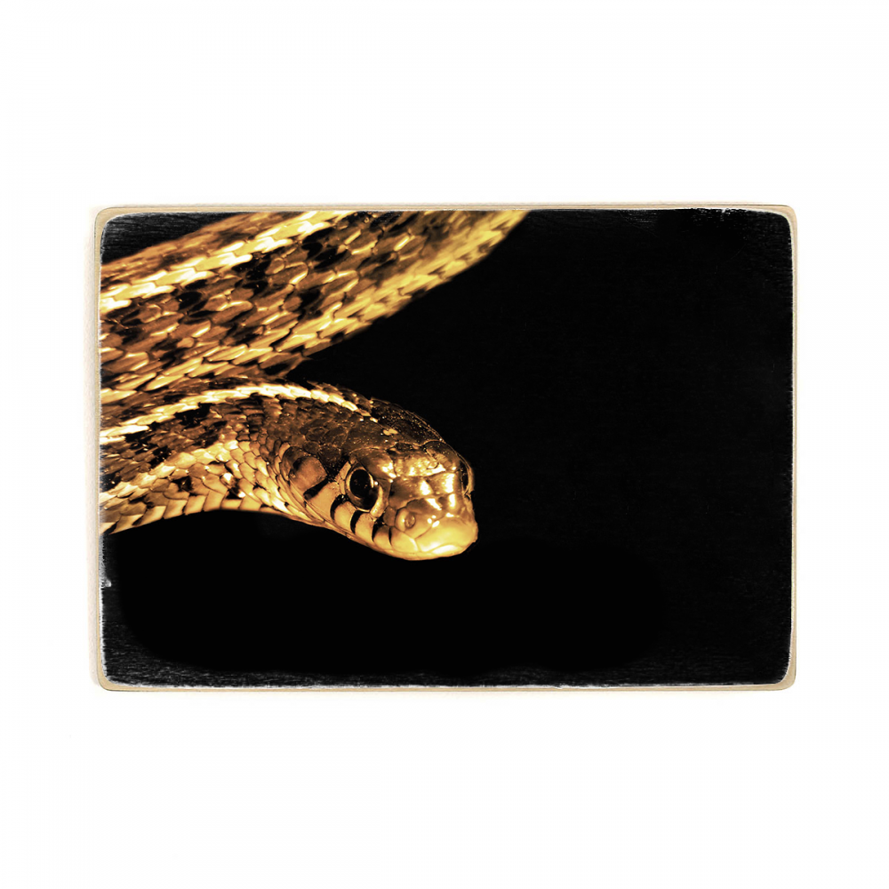 

Деревянный постер Урбан Арт Golden Snake А2