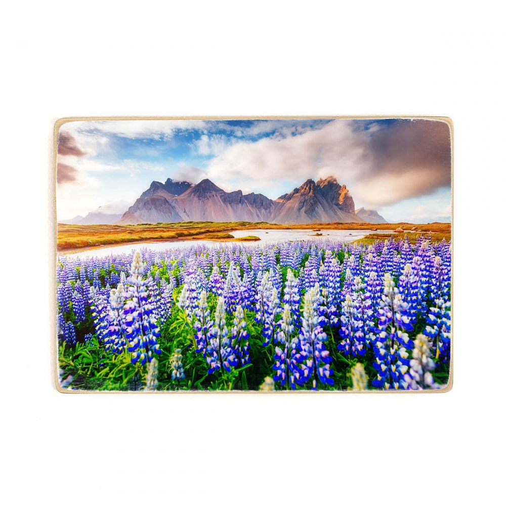 

Деревянный постер Природа Great View Of Lupine Flowers А2