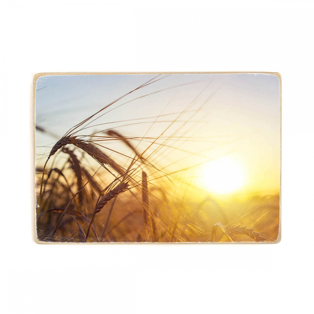 

Деревянный постер Природа Ear Of Golden Wheat А1