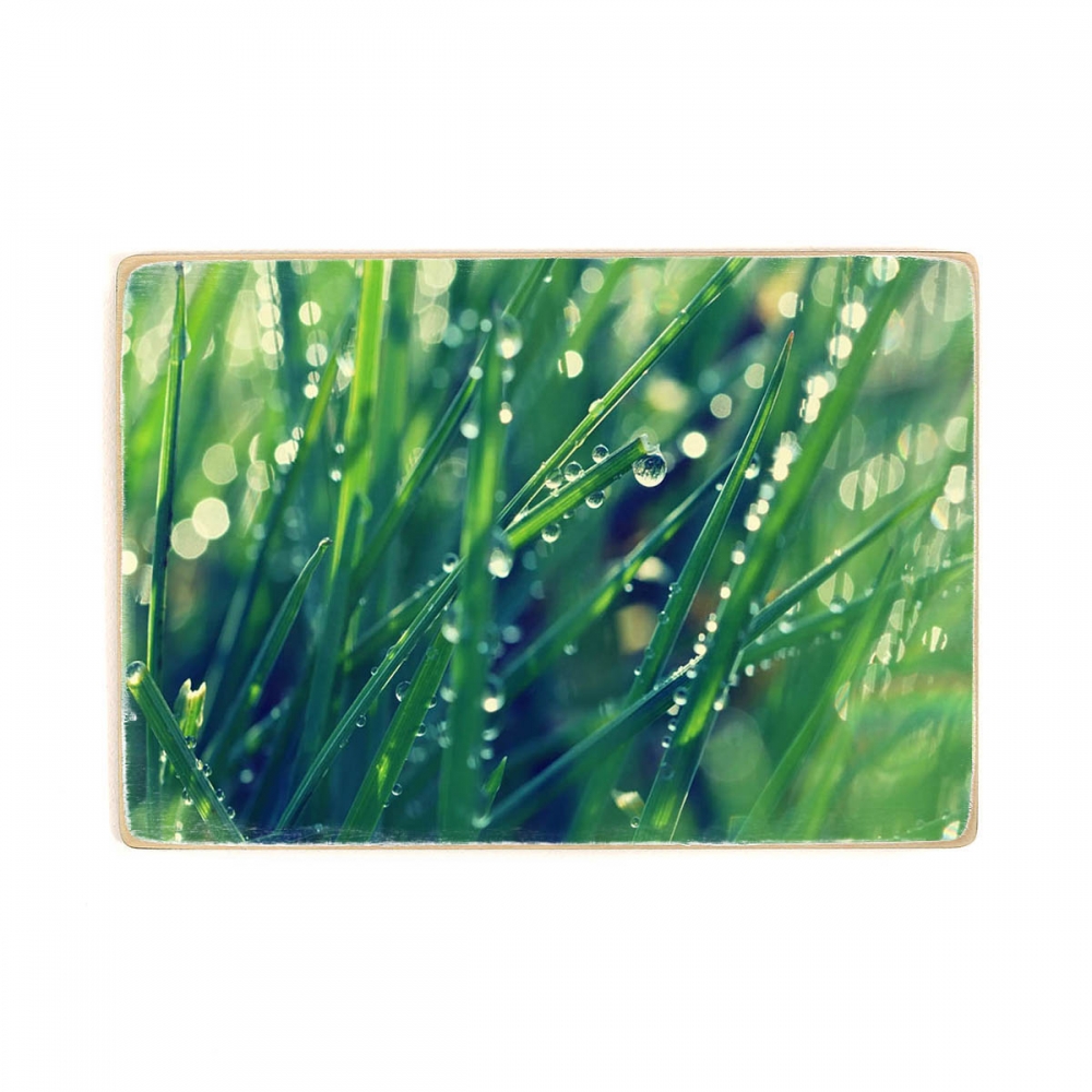 

Деревянный постер Природа Dew On Green Grass А2