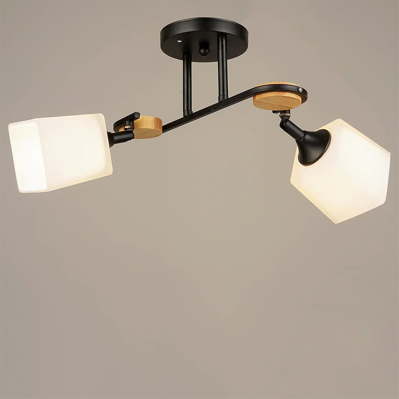 

Люстра стельова Light House SRS-16226/2 чорний