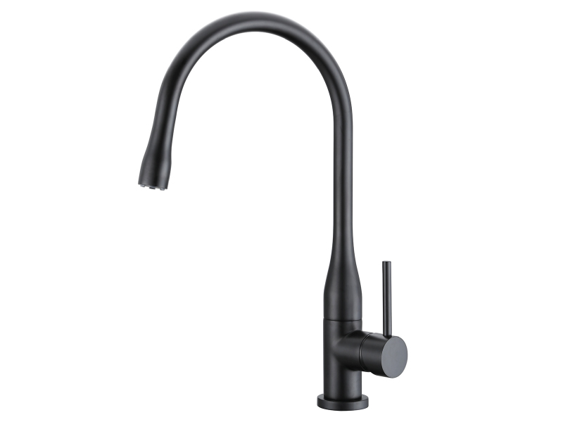 

Смеситель кухонный ASIGNATURA Delicate 80548602, черный (ST702507)