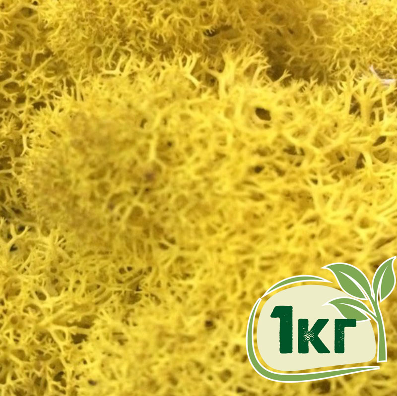 

Стабилизированный мох ягель Nordic moss Желтый классический 1 кг