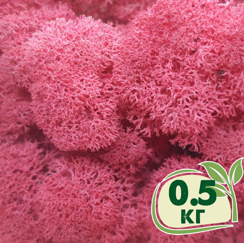 

Стабилизированный мох ягель Nordic moss Цикламен 0,5 кг