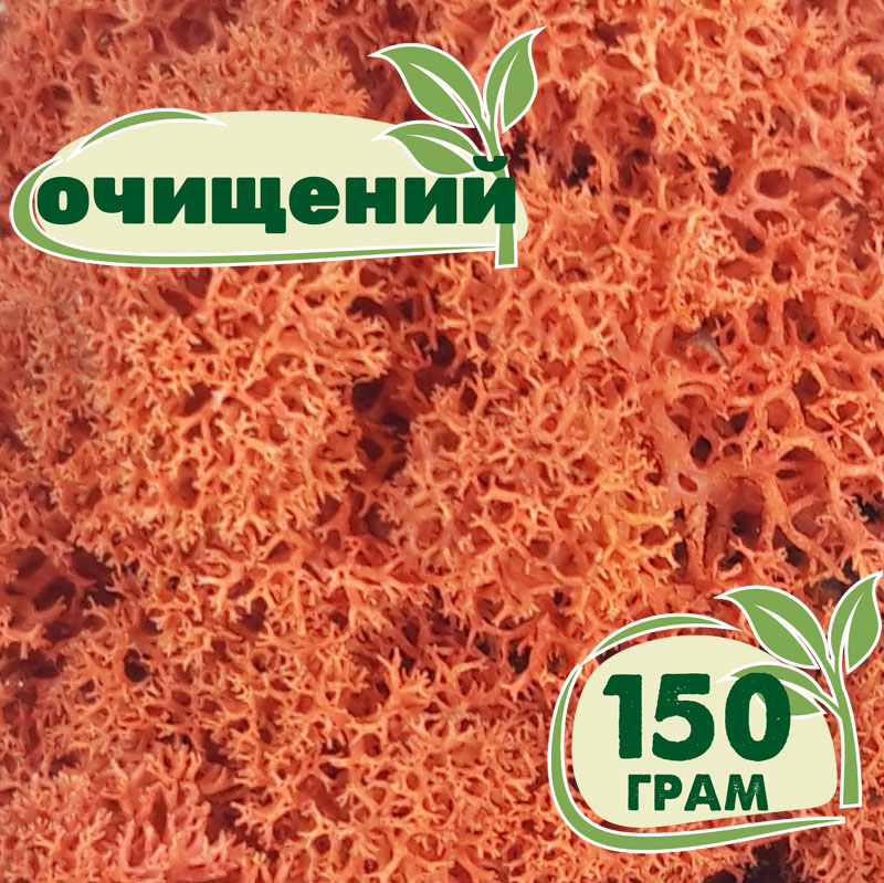 

Очищенный стабилизированный мох ягель Nordic moss Сиена 150 грамм