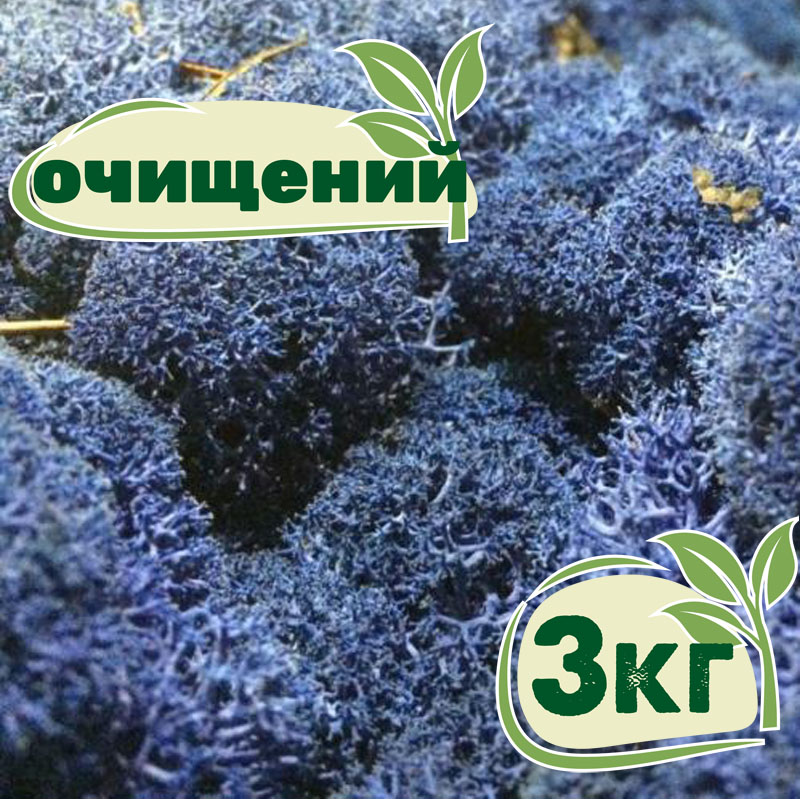 

Очищенный стабилизированный мох ягель Nordic moss Синий лазурный 3 кг