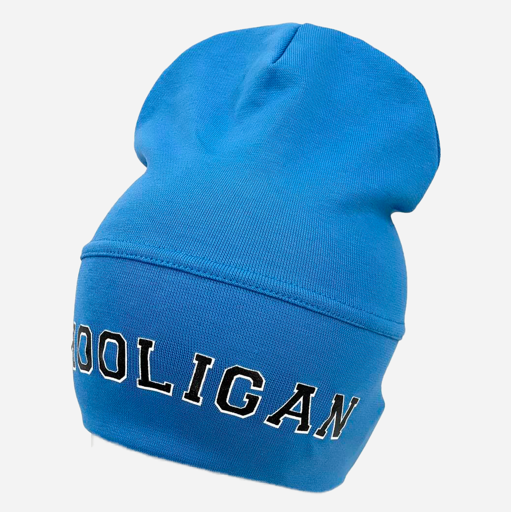 

Демисезонная шапка Sample Hooligan 52-56 Голубая