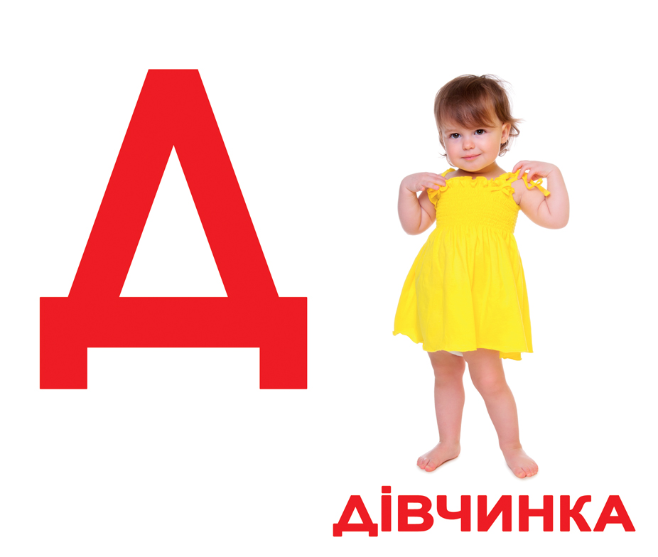 

Карточки большие украинские с фактами, ламинированные Абетка(155314)