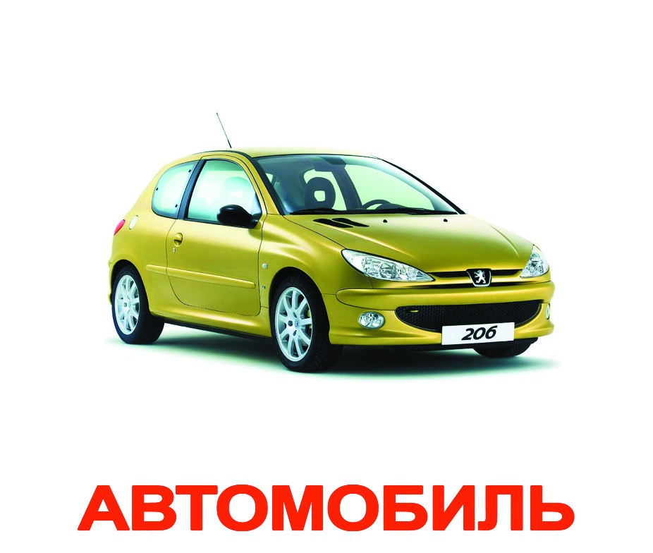 

Карточки большие русские с фактами, «Мои первые знания»(094200)