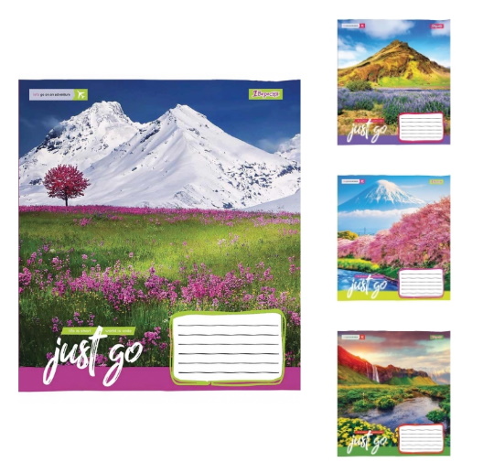 

Набор тетрадей 18 кл. 1В Just go, цена за уп. 25шт(765423)