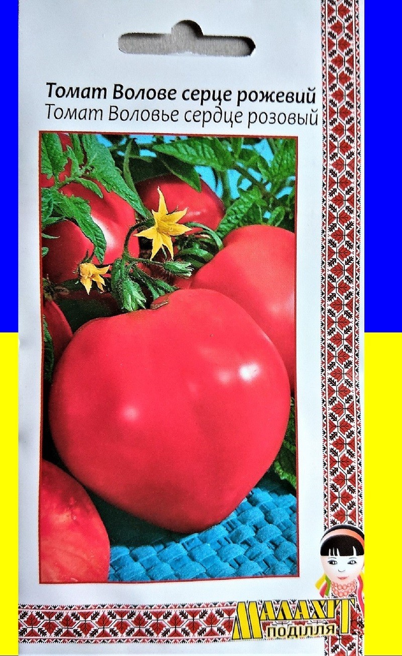 Сорт томата Воловье сердце золотое