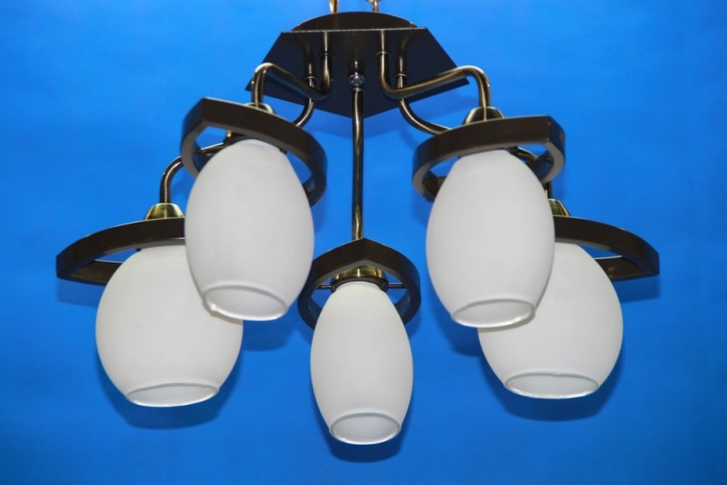 

Люстра с плафонами Ray L28003B/5 (AN003249)