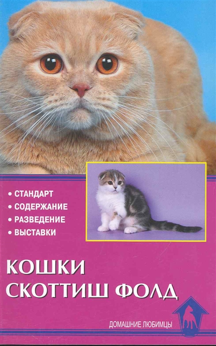 

Кошки скоттиш фолд. Стандарт. Содержание