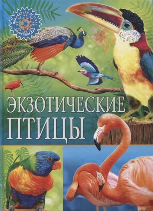 

Экзотические птицы (4216794)