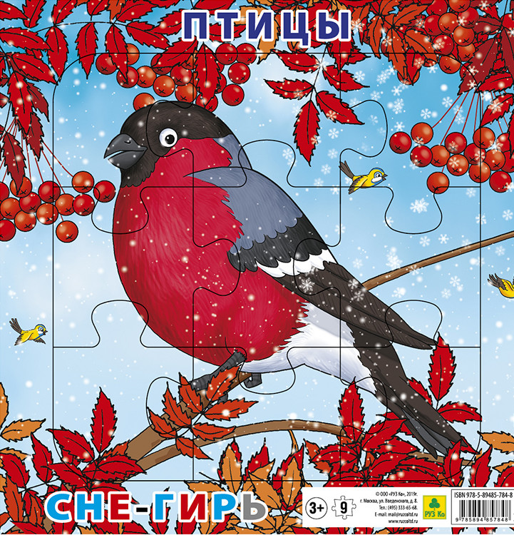

Птицы. Снегирь
