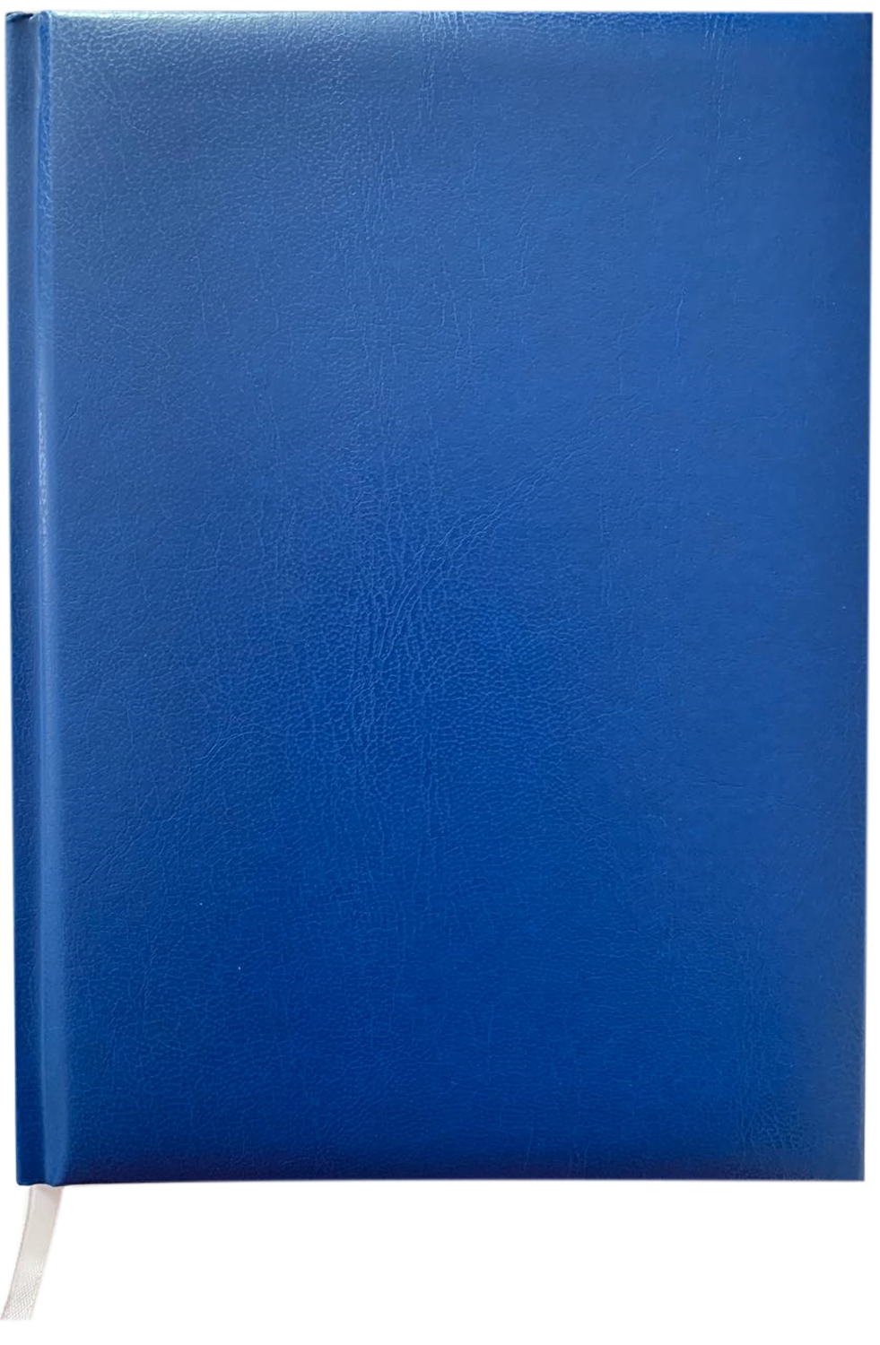 

Ежедневник MASTER недатированный A5 синий (BM200302)