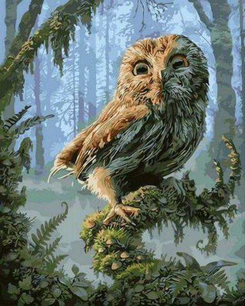

Картина по номерам 40×50 см. Mariposa Озадаченный совенок (Q 1261)