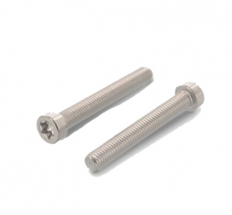 

Болт ISO 14580 M2x8 A2 TX6, 1000 шт.