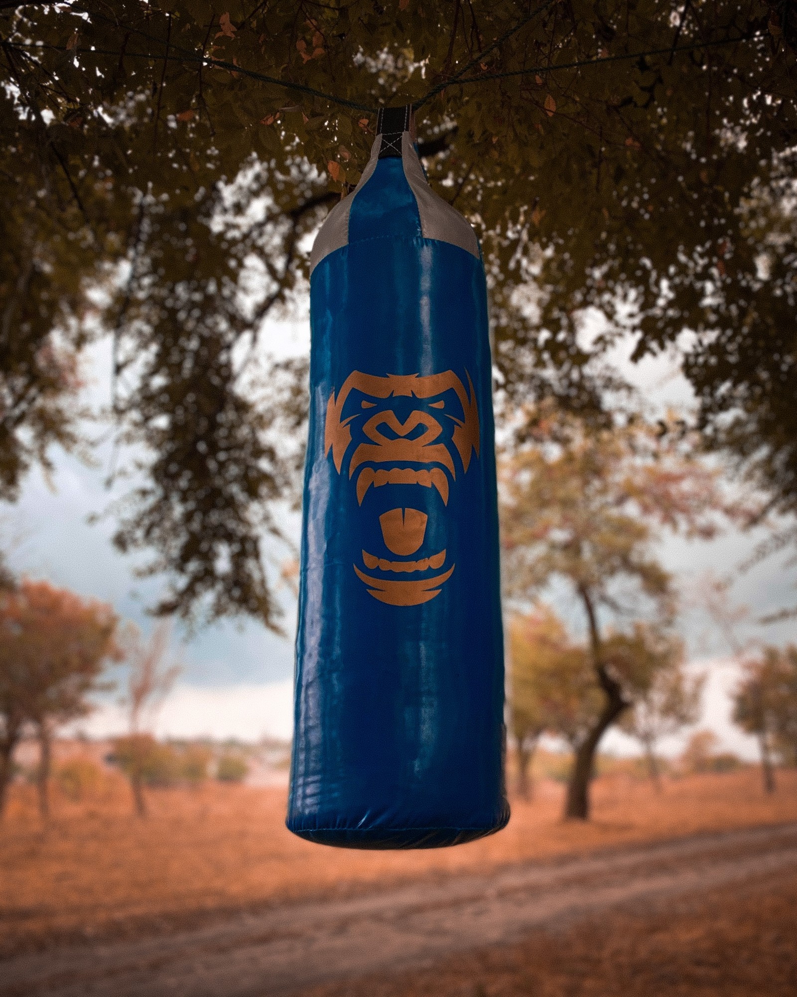 

Боксерский мешок груша BIG MONKEY из ПВХ 80 см синий