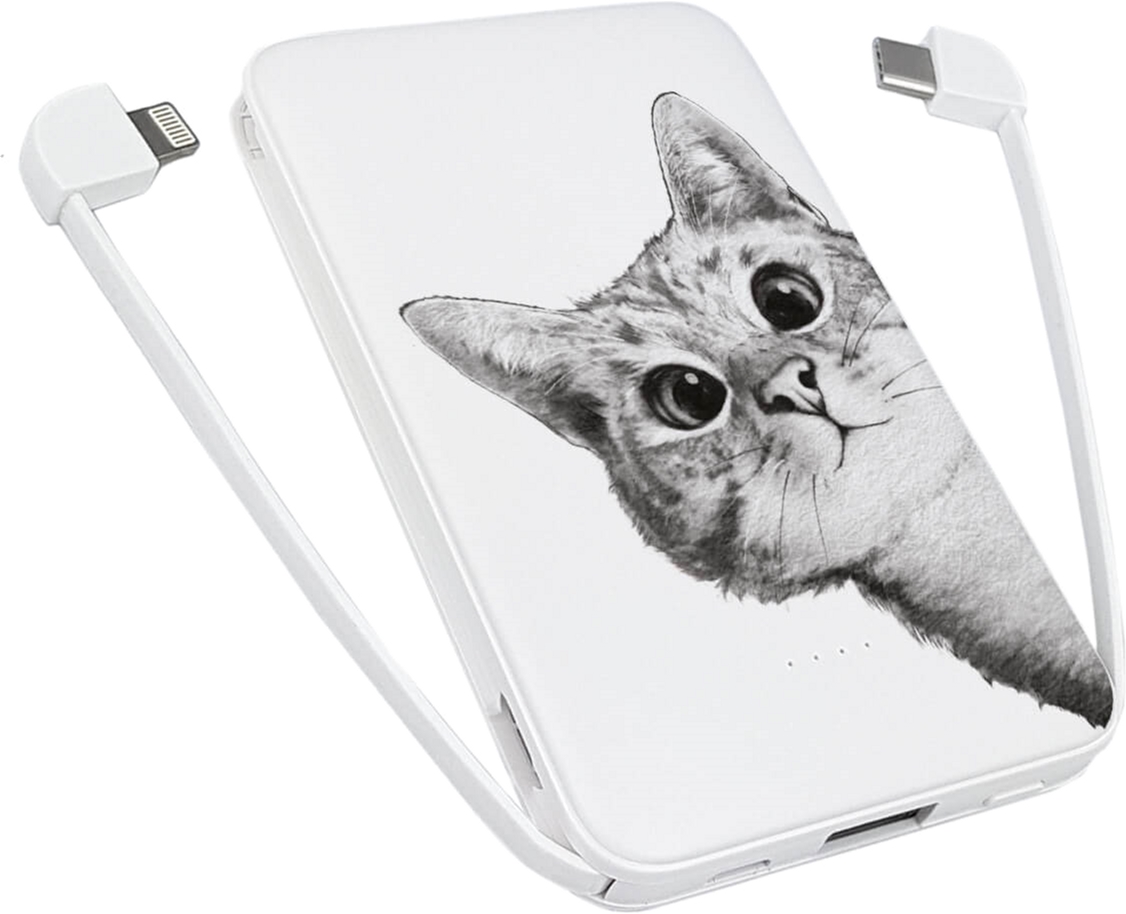 

УМБ ZIZ Эй, Кот 5000 mAh