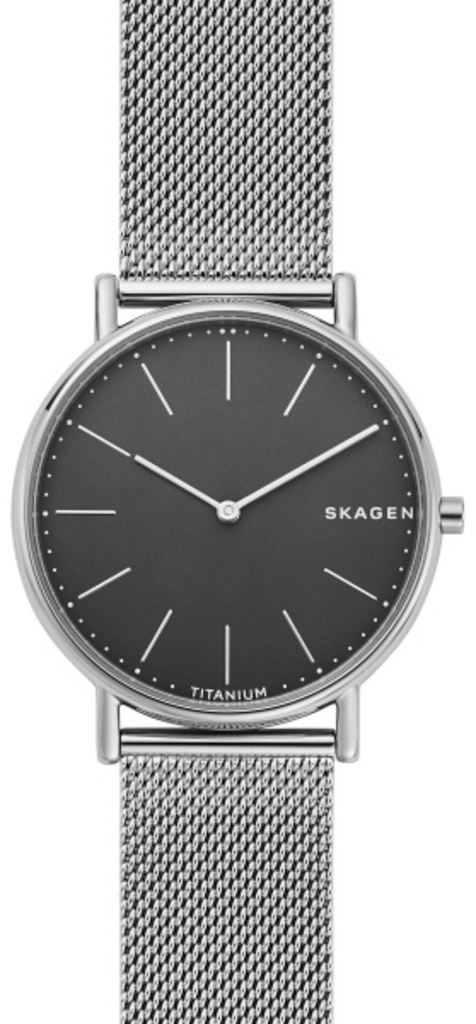 

Часы SKAGEN SKW6483