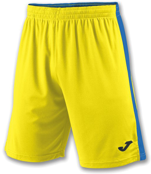 

Футбольные шорты Joma Tokio II M Желто-синие (100684.907_M)