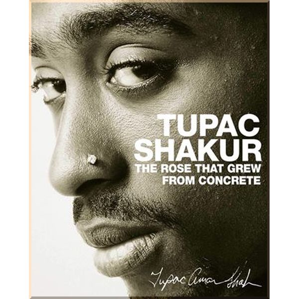 

The Rose that Grew from Concrete. Tupac Shakur. ISBN:9781416511656