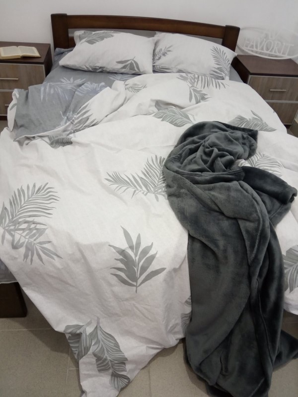 

Комплект постельного белья AV-favorit Бязь Люкс 180*220 Папороть (b-02112R)