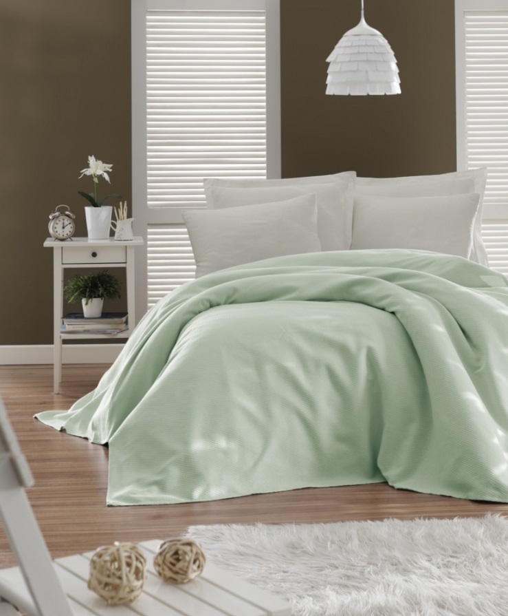 

Вафельное пике Enlora Home Casuel 200х235 Mint (svt-2000022241007)