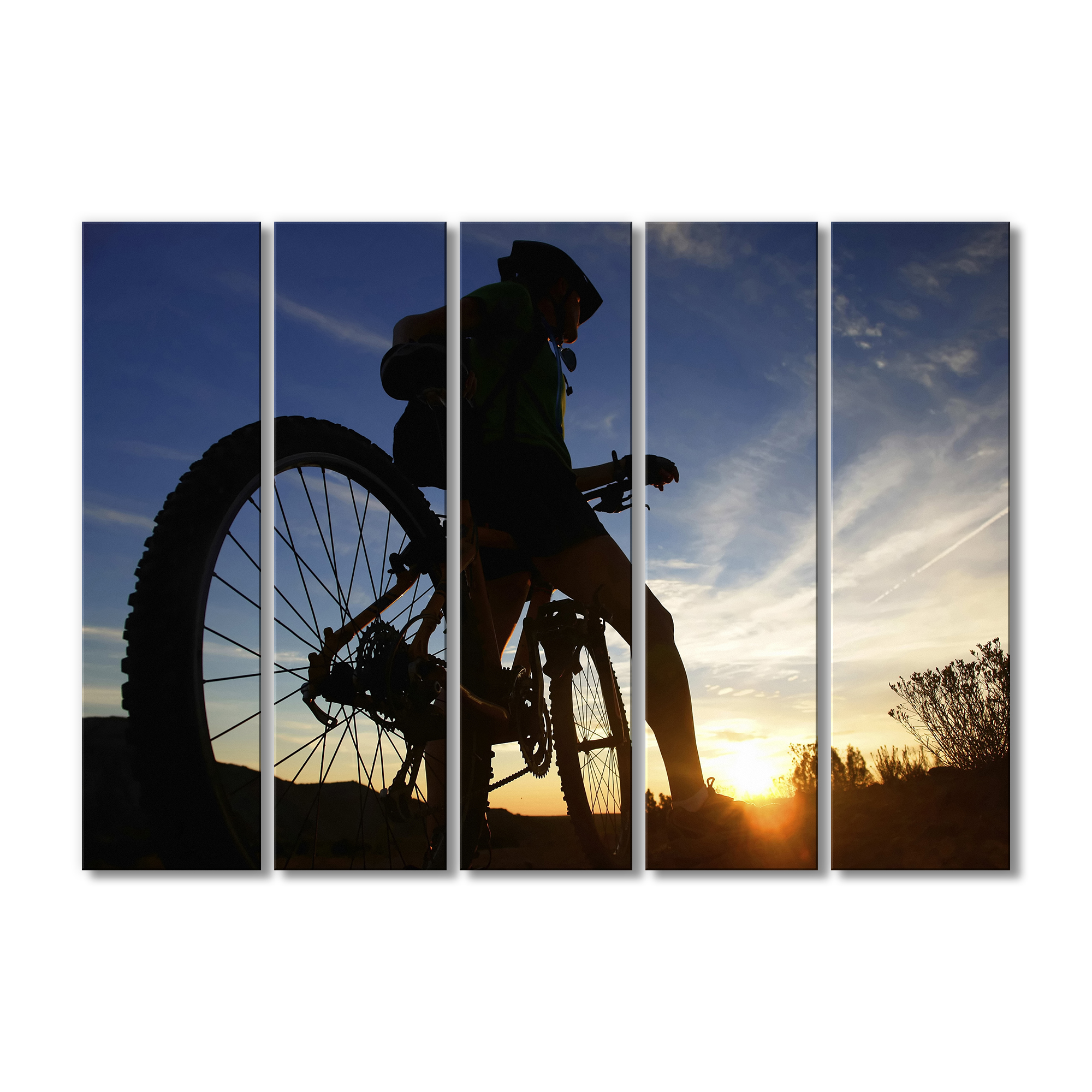 

Модульная картина Artel «Вечерняя прогулка на велосипеде» 5 модулей 120x180 см