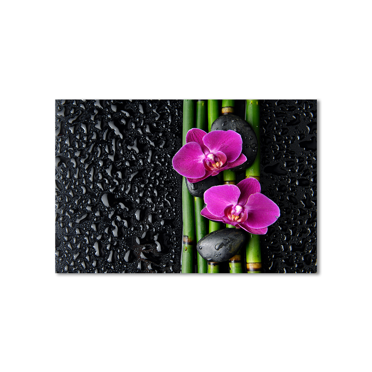 

Модульная картина Artel «Восточная композиция, фиолетовые орхидеи» 1 модуль 60x90 см