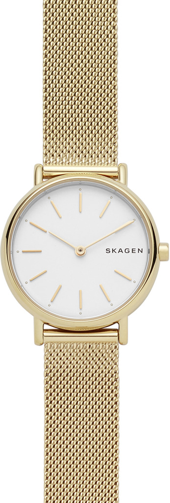 

Часы SKAGEN SKW2693