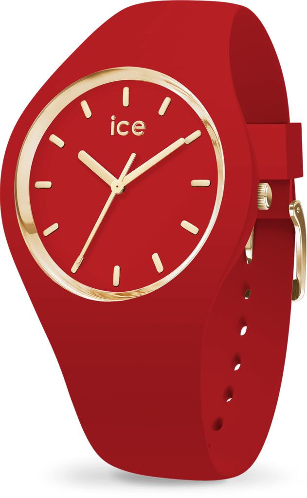 

Часы Ice-Watch 016263