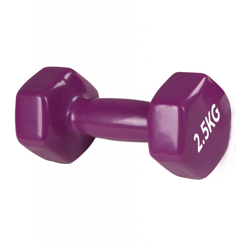 

Гантель PowerPlay виниловая 1х2.5 кг фиолетовая, код: PP_4125_2.5kg