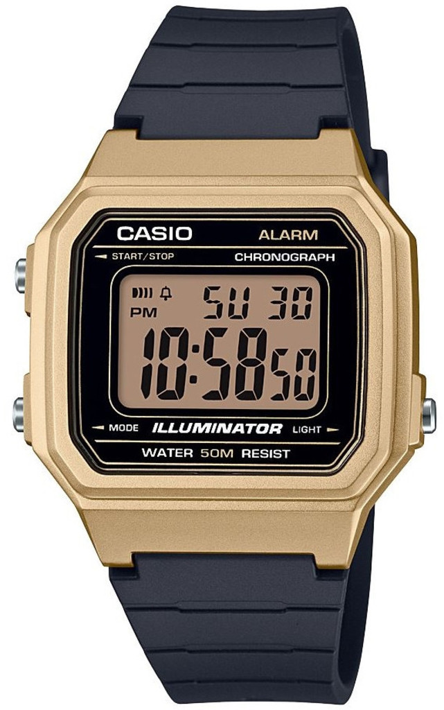 

Часы CASIO W-217HM-9AVEF